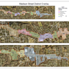 Madison District OVerlay Map Poster